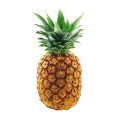 Piña 1 Unid.