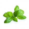 Albahaca 160 grs