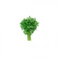 Cilantro Atado 150 gr